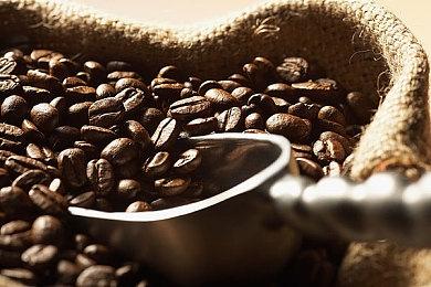 光荣特库摩公布财务业绩 销售额增长 利润下降