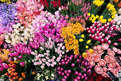 官方庆祝《黑暗之魂》发售10周年 见证初火的诞生